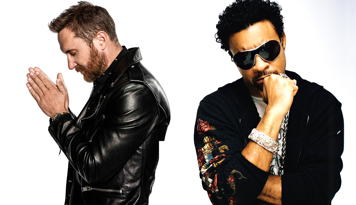 DAVID GUETTA & SHAGGY